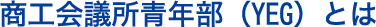 商工会議所青年部（YEG）とは