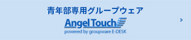 angel touch